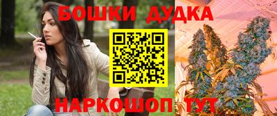 spice Новодвинск