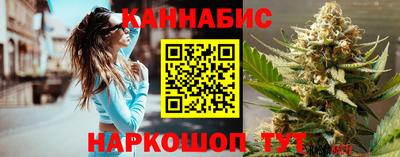 spice Новодвинск