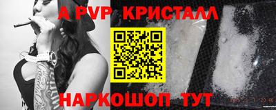 spice Новодвинск